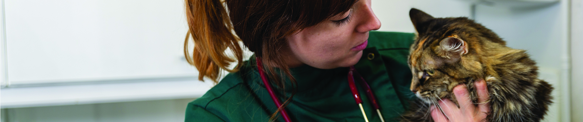 Chelsea Veterinary Surgery Waggin' Tails